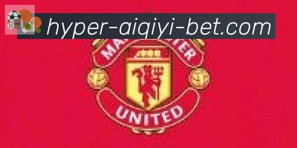 爱奇艺体育合作伙伴